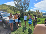 GGHS Surfing Festival