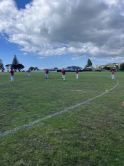 Summer Tournament - Cricket