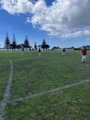 Summer Tournament - Cricket