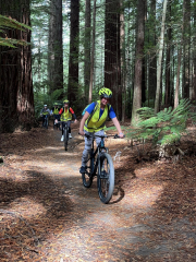 Year 13 OE Rotorua Mountain Biking
